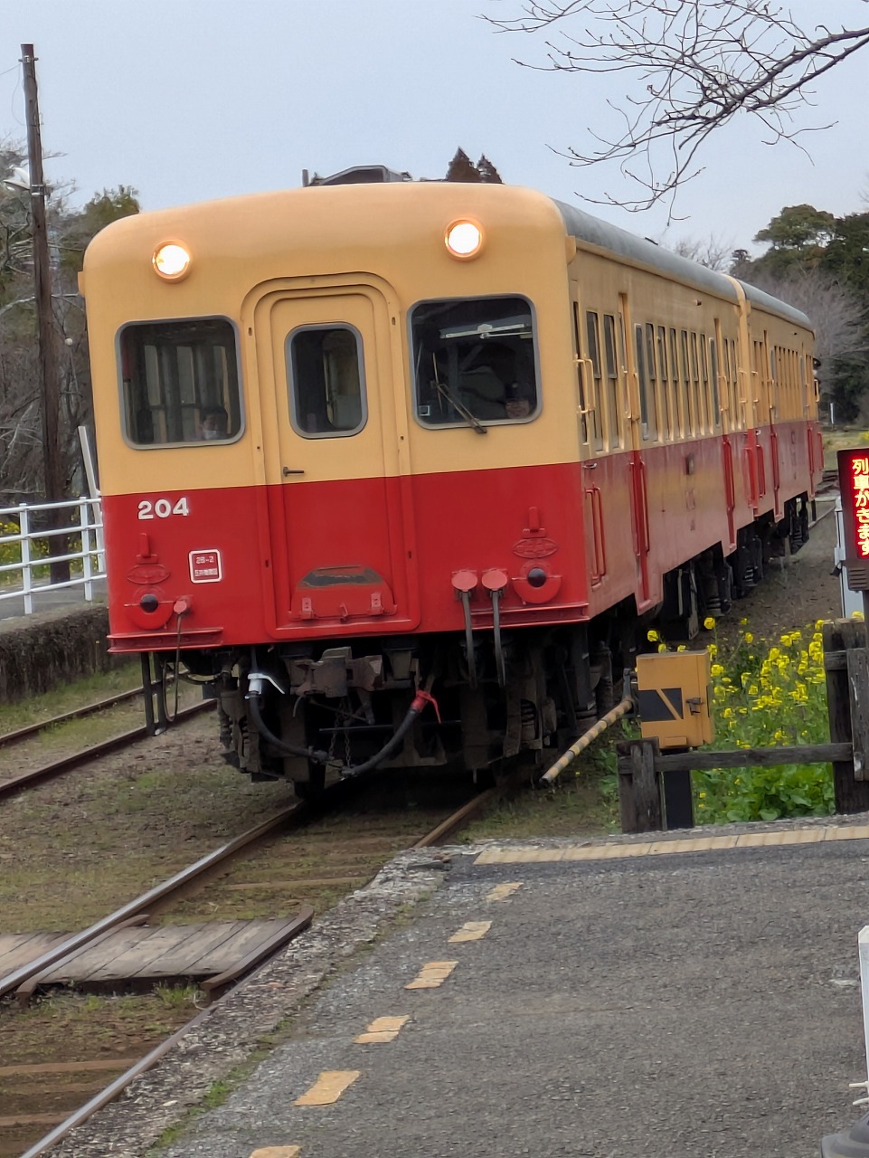 260312-5.jpg