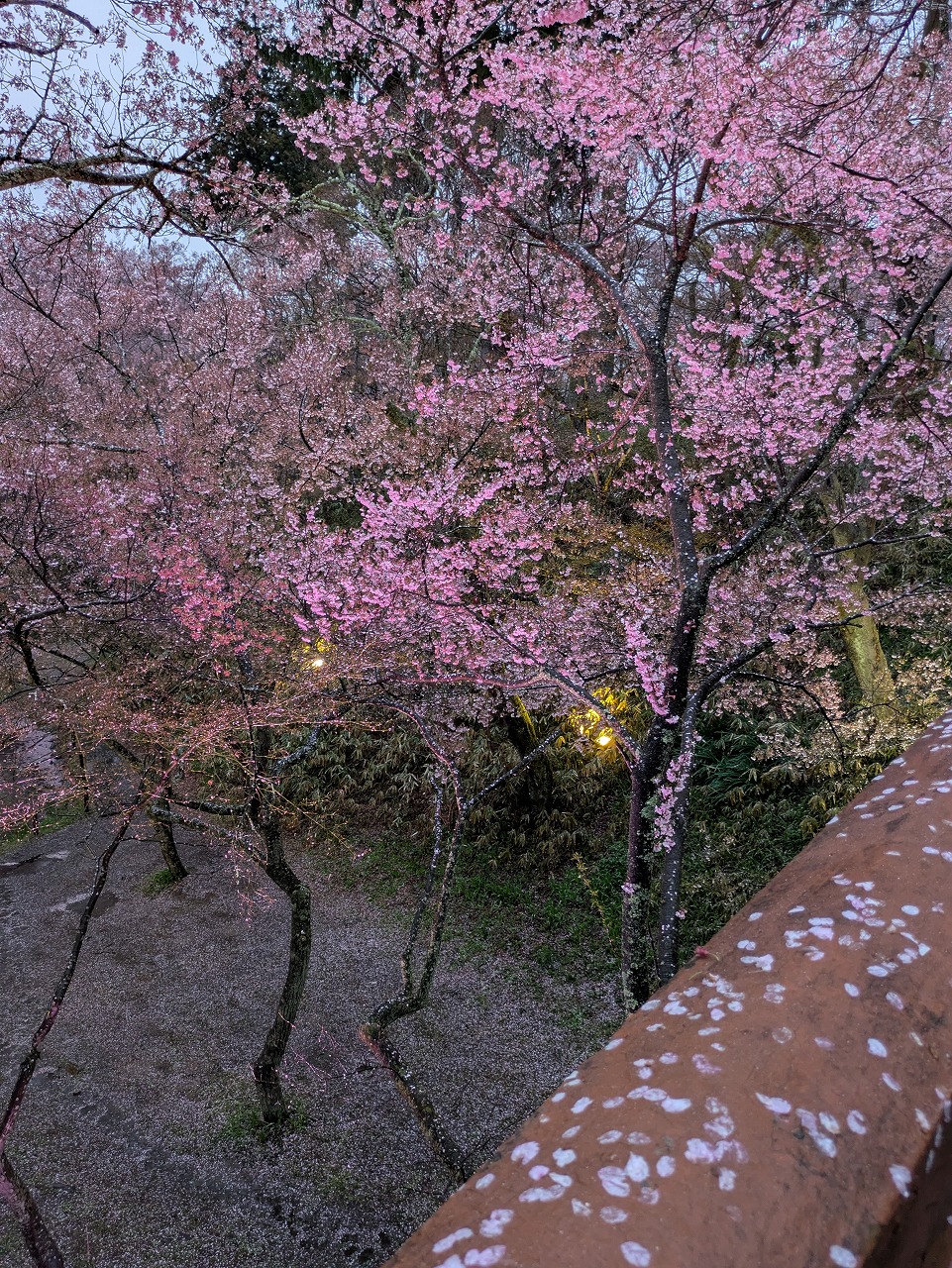 260409-7.jpg