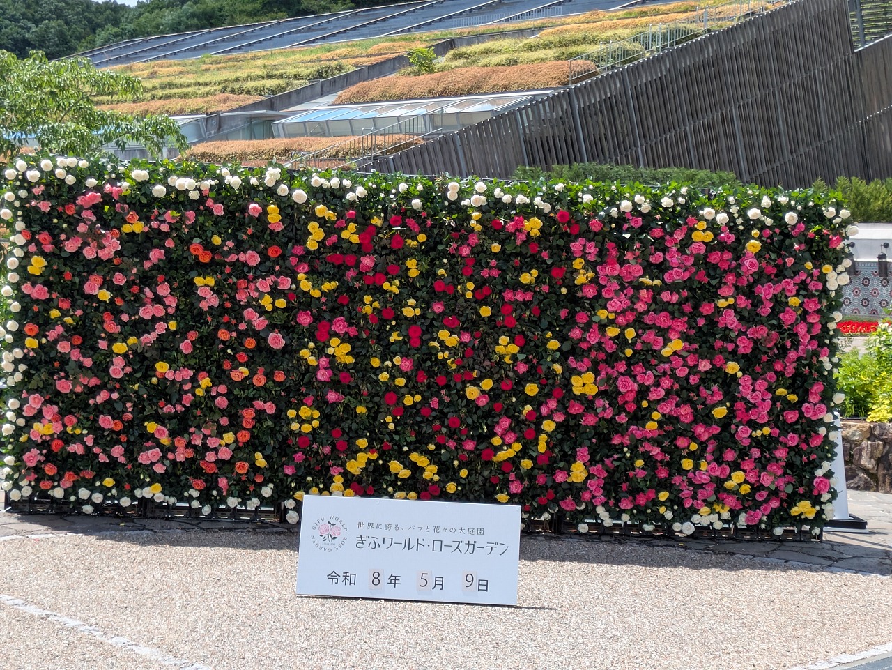 260509-1.jpg