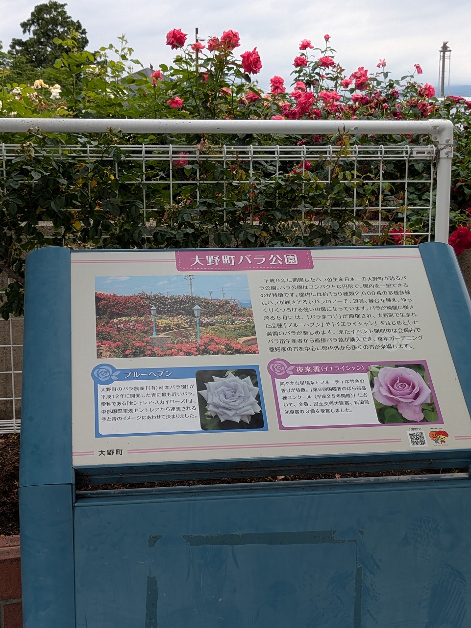 260523-1.jpg